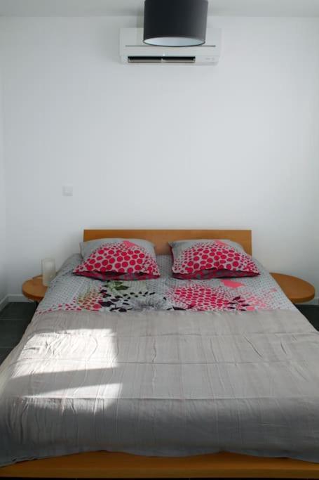 Appart Dans Maison 2 Km De La Plage Villeneuve-Loubet Dış mekan fotoğraf