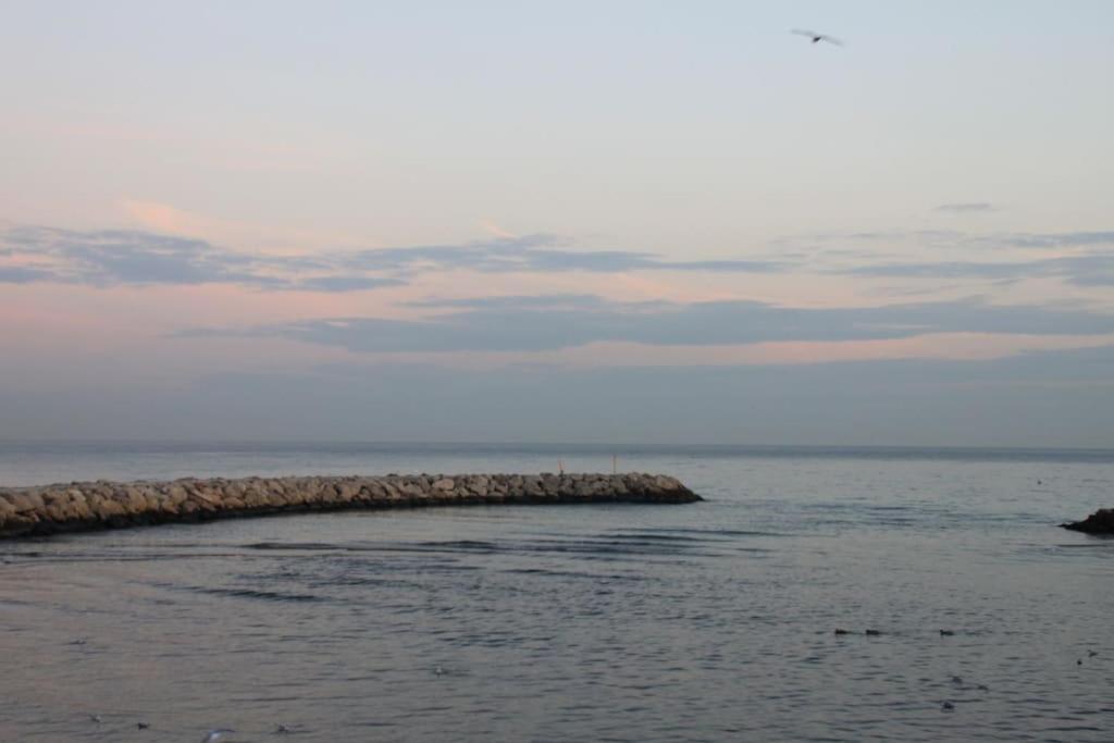 Appart Dans Maison 2 Km De La Plage Villeneuve-Loubet Dış mekan fotoğraf