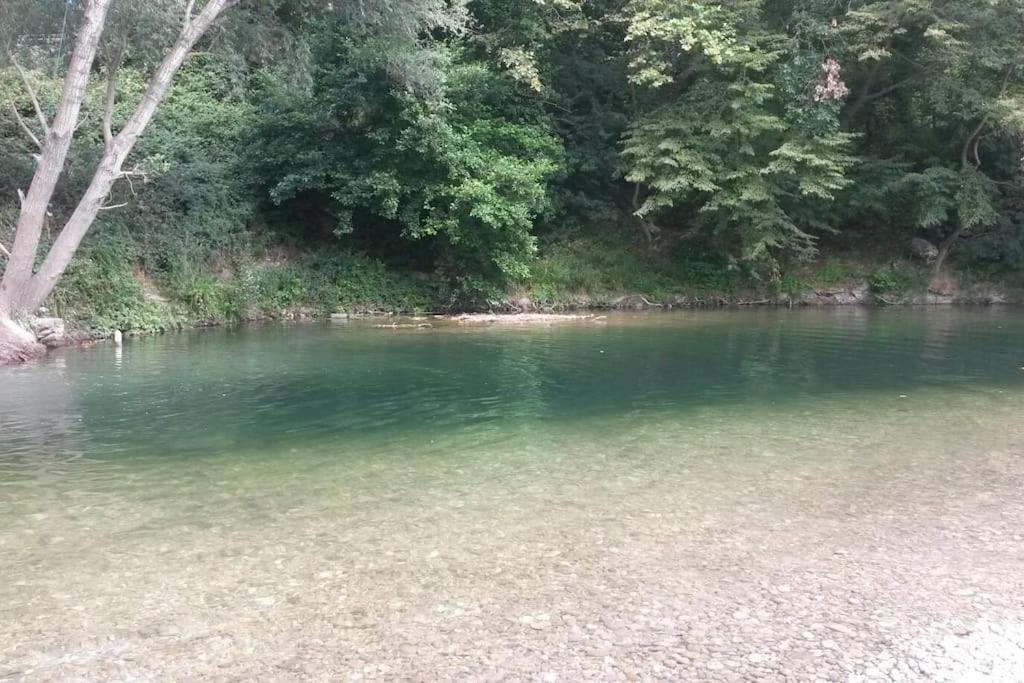 Appart Dans Maison 2 Km De La Plage Villeneuve-Loubet Dış mekan fotoğraf